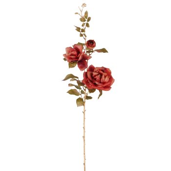 Rose, 85cm, amber