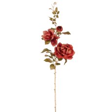 Rose, 85cm, amber