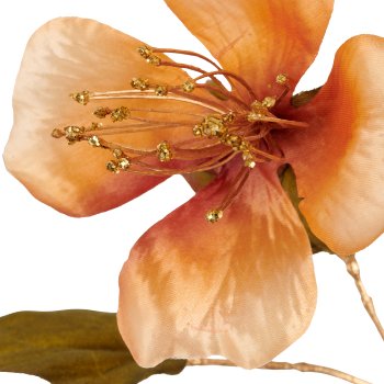 Kapok, 109cm, amber