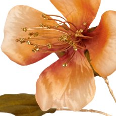 Kapok, 109cm, amber