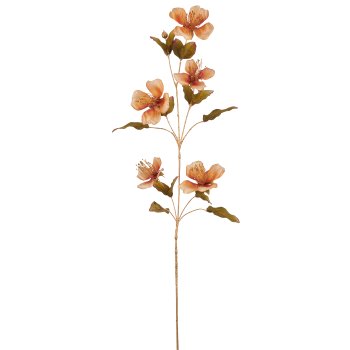 Kapok, 109cm, amber