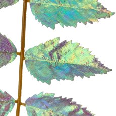 Essigbaum, 100cm, silber