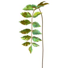 Essigbaum, 100cm, grün