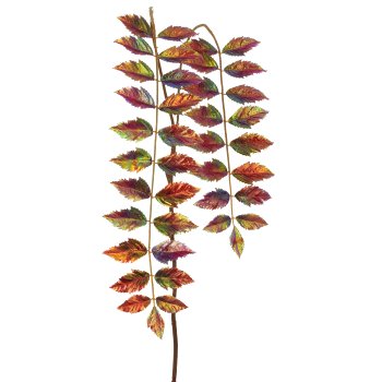 Essigbaum, 153cm, dunkelrot