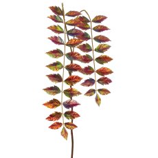 Essigbaum, 153cm, dunkelrot