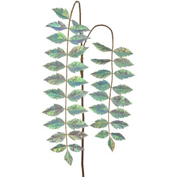 Essigbaum, 153cm, silber