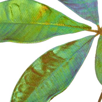 Schefflera branch, 70cm, green