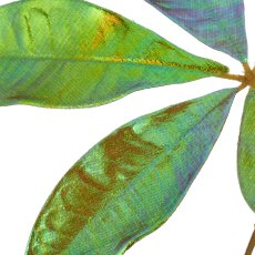 Schefflera branch, 70cm, green