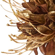 Monarda, 90cm, gold