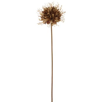 Monarda, 90cm, gold
