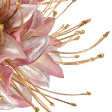 Monarda, 90cm, light lilac