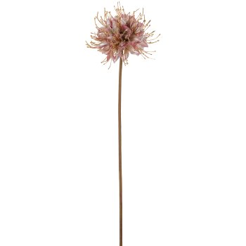 Monarda, 90cm, light lilac