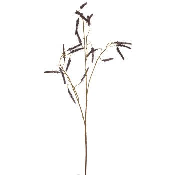 Acalypha, 95cm, lilac