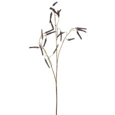 Acalypha, 95cm, lilac