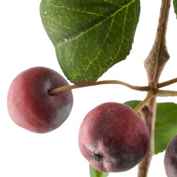 Ornamental apple, 87cm, red