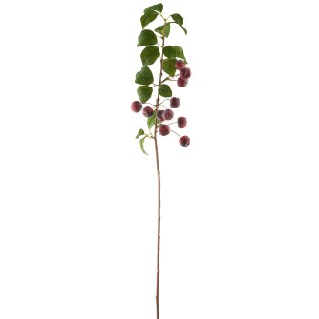 Ornamental apple, 87cm, red