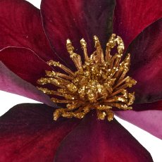 Clematis branch, 82cm, lilac