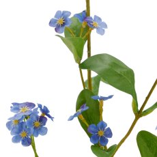Forget-me-not, 49cm, blue
