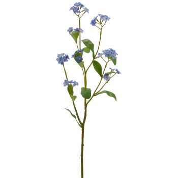Forget-me-not, 49cm, blue