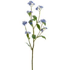 Forget-me-not, 49cm, blue