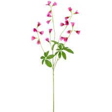 Glöckchenblume, 68cm, pink