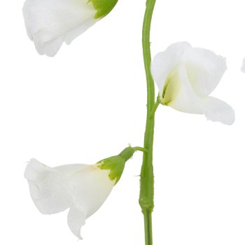 Glöckchenblume, 68cm, weiß