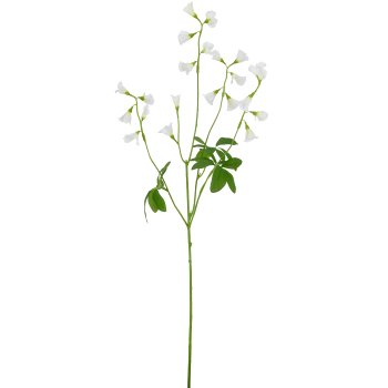 Glöckchenblume, 68cm, weiß