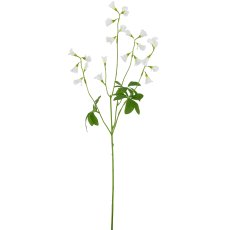 Glöckchenblume, 68cm, weiß