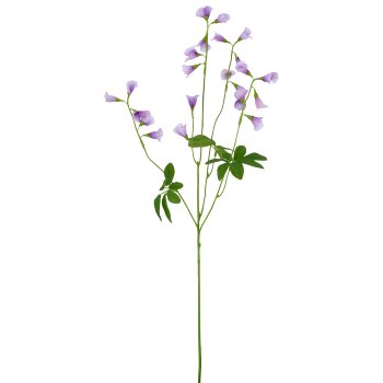 Glöckchenblume, 68cm, lila
