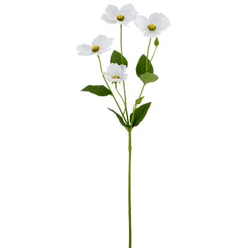 Anemone, 66cm, weiß