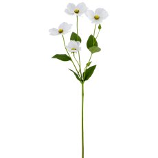 Anemone, 66cm, weiß