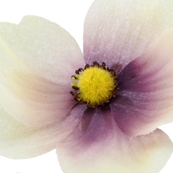 Anemone, 66cm, helllila