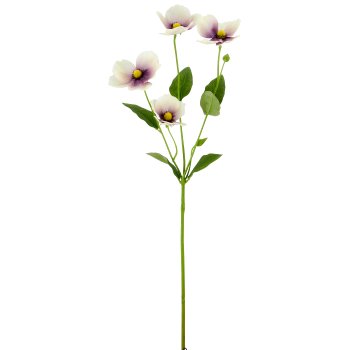 Anemone, 66cm, helllila