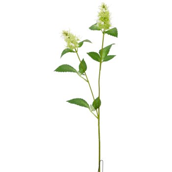 Nessel, 70cm, weiß