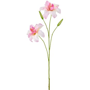 Lilie gefüllt, 93cm, rosa