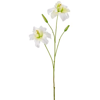 Lily filled, 93cm, white