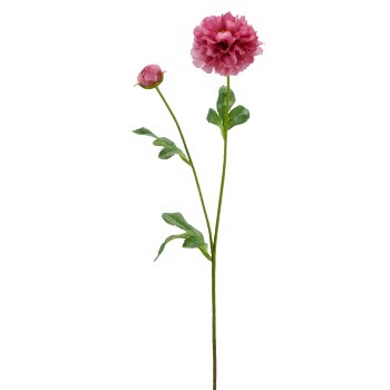 Ranunkel, 64cm, pink