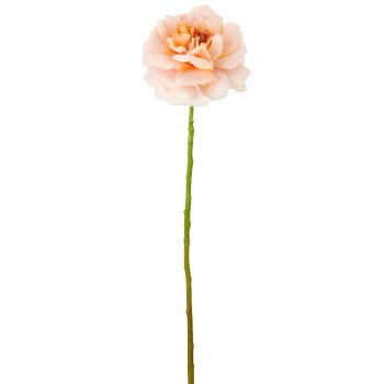 Rose, 63cm, rosa
