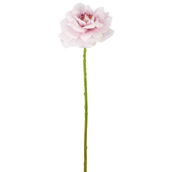 Rose, 63cm, light lilac