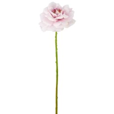 Rose, 63cm, helllila