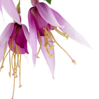 Fuchsienzweig, 103cm, pink