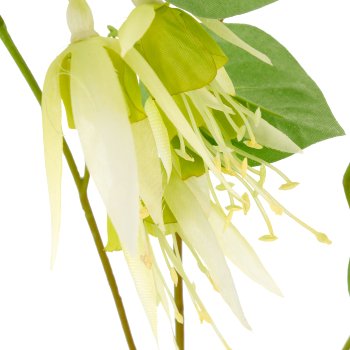 Fuchsienzweig, 103cm, grün