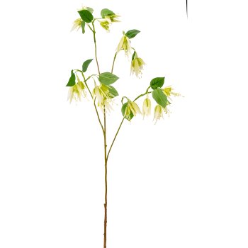 Fuchsienzweig, 103cm, grün