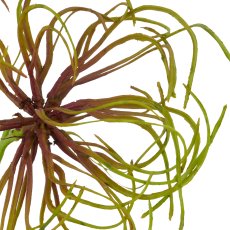 Clematis fruit branch, 67cm, green