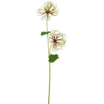 Clematis fruit branch, 67cm, green