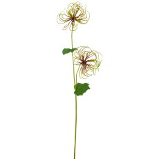 Clematis fruit branch, 67cm, green
