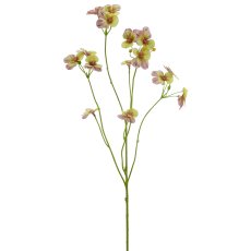 Pansies, 62cm, green