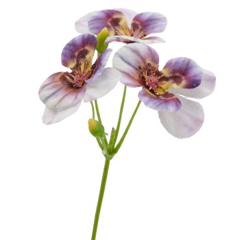 Pansies, 62cm, lilac