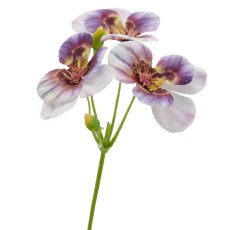 Pansies, 62cm, lilac