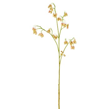 Bells of splendour, 96cm, apricot
